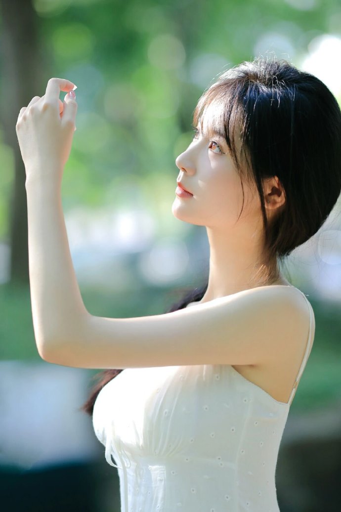 我的阿勒泰 封面
